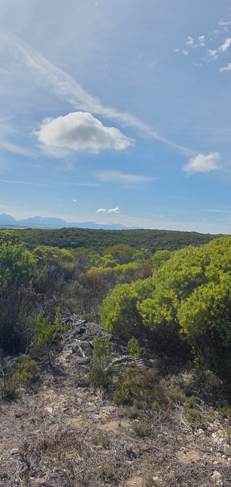  Bedroom Property for Sale in Riversdale Rural Western Cape
